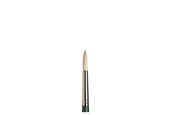 Winton Round Size 6